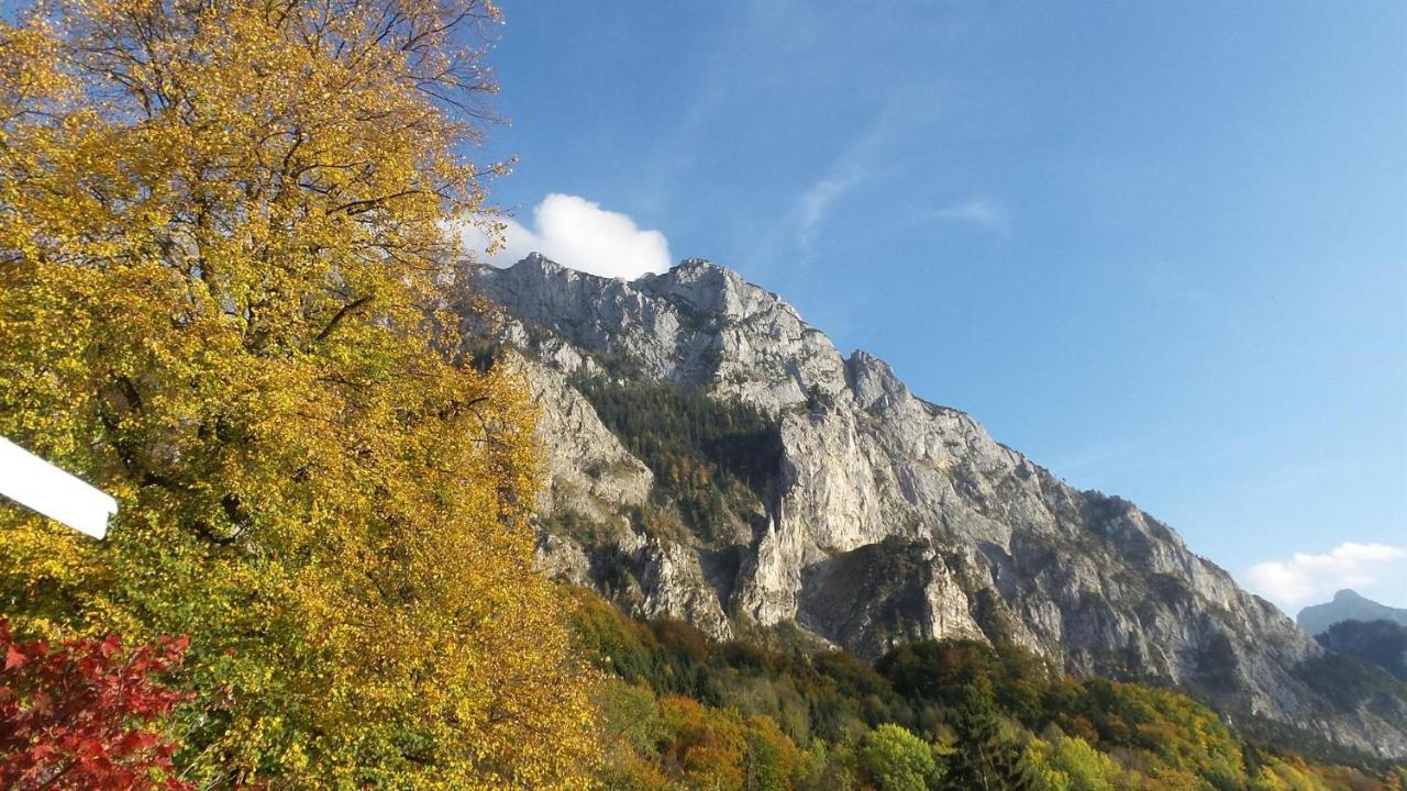 Wolfis Traunseeblick - Mit Kostenlosem Parkplatz Direkt An Der Unterkunft Gmunden Zewnętrze zdjęcie